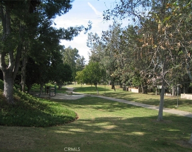 17222 Citron - Photo Thumbnail 56