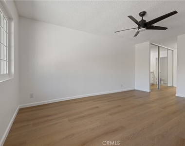 17222 Citron - Photo Thumbnail 24