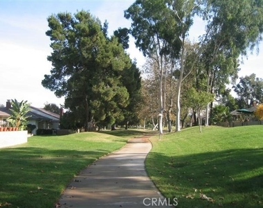 17222 Citron - Photo Thumbnail 57