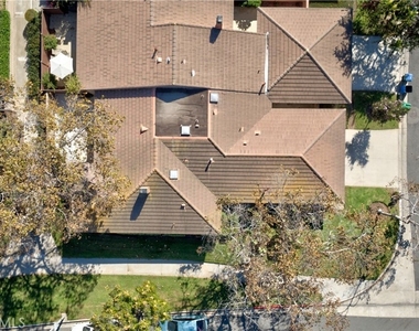 17222 Citron - Photo Thumbnail 50