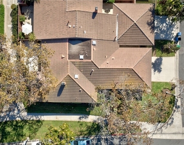 17222 Citron - Photo Thumbnail 49