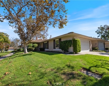 17222 Citron - Photo Thumbnail 5