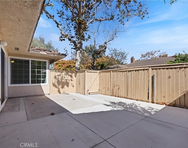 17222 Citron - Photo Thumbnail 47