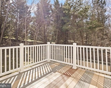 43417 Spring Cellar Court - Photo Thumbnail 47