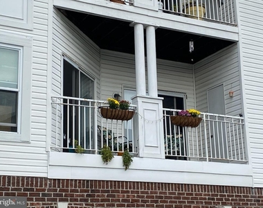 1303 Sandwort Court - Photo Thumbnail 11
