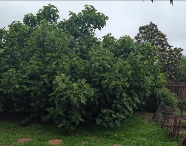 1628 Greenside Dr - Photo Thumbnail 24