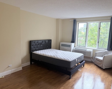 801 S Plymouth Court - Photo Thumbnail 7