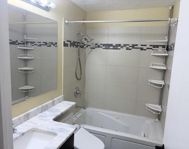 801 S Plymouth Court - Photo Thumbnail 6