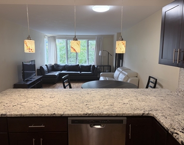 801 S Plymouth Court - Photo Thumbnail 2