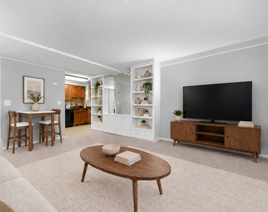 233 E Erie Street - Photo Thumbnail 6