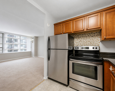 233 E Erie Street - Photo Thumbnail 7