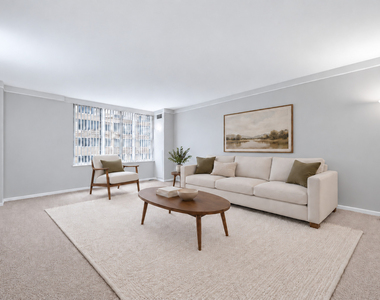 233 E Erie Street - Photo Thumbnail 4
