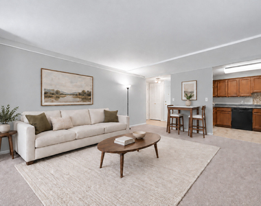 233 E Erie Street - Photo Thumbnail 5