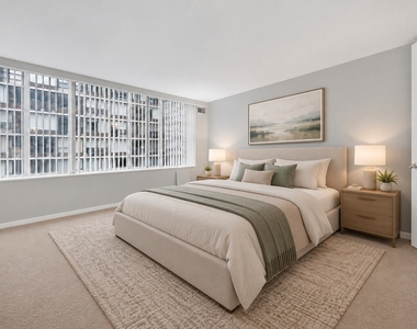 233 E Erie Street - Photo Thumbnail 9