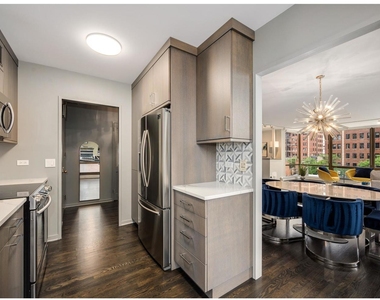 100 E Bellevue Place - Photo Thumbnail 10