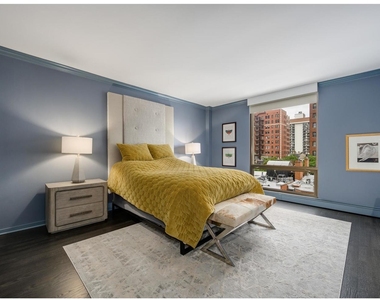 100 E Bellevue Place - Photo Thumbnail 13