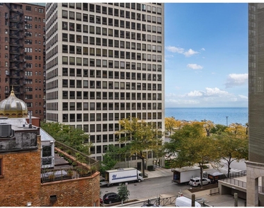 100 E Bellevue Place - Photo Thumbnail 23
