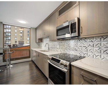 100 E Bellevue Place - Photo Thumbnail 11