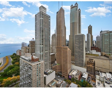 100 E Bellevue Place - Photo Thumbnail 21