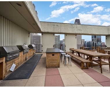100 E Bellevue Place - Photo Thumbnail 18