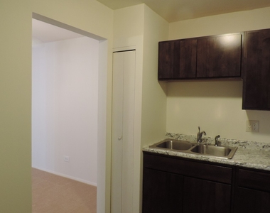 9s070 Lake Drive - Photo Thumbnail 4
