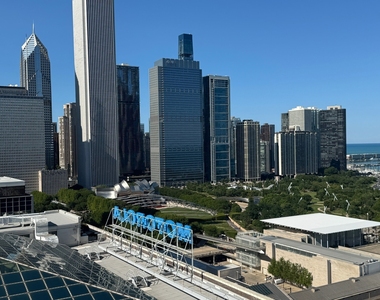 310 S Michigan Avenue - Photo Thumbnail 16