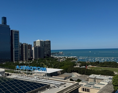 310 S Michigan Avenue - Photo Thumbnail 9