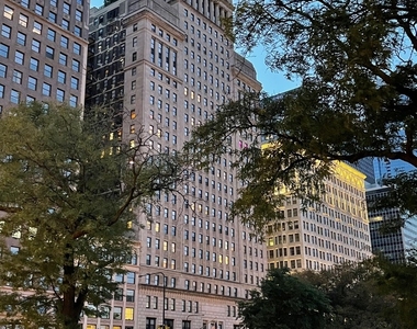 310 S Michigan Avenue - Photo Thumbnail 25