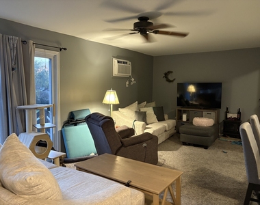 20206 S Frankfort Square Road - Photo Thumbnail 9