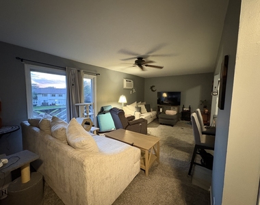 20206 S Frankfort Square Road - Photo Thumbnail 12
