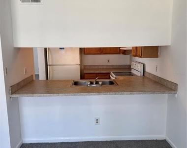 5180 Sunridge Palms Drive - Photo Thumbnail 11