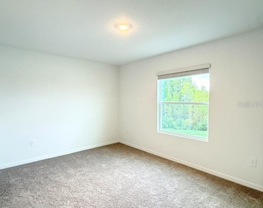 32571 Midsummer Night Lane - Photo Thumbnail 28