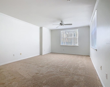 720 Siena Palm Drive - Photo Thumbnail 3
