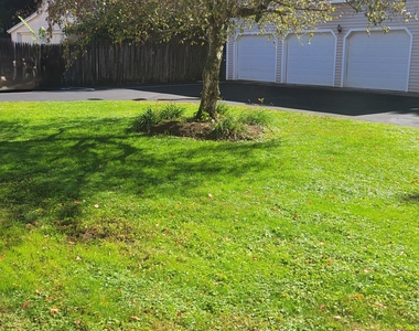 42 Woodbridge Street - Photo Thumbnail 28