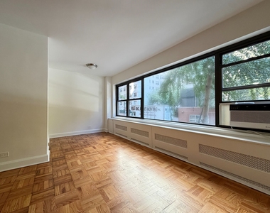55th Street & 1st Avenue  - Photo Thumbnail 1