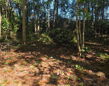 536 Windy Mill Way - Photo Thumbnail 10