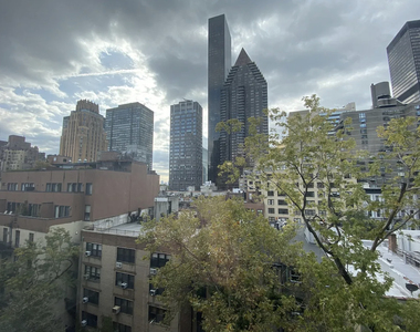 East 51st Street - Photo Thumbnail 5