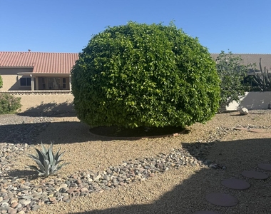 14518 W Heritage Drive - Photo Thumbnail 24