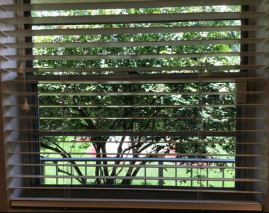 7173 Orange Drive - Photo Thumbnail 12