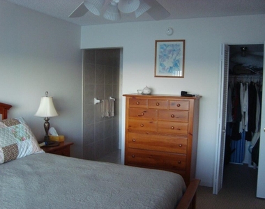 4250 N Highway A1a - Photo Thumbnail 10