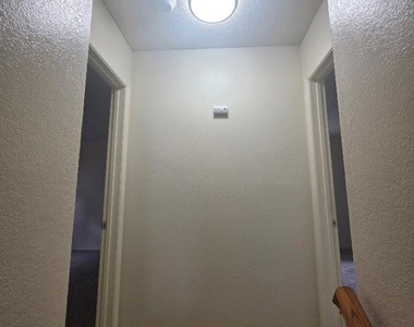 2404 Meadow Lane - Photo Thumbnail 8