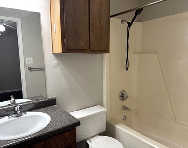 1131 Dallas Drive - Photo Thumbnail 11