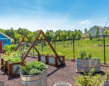 341 Foxglove Way - Photo Thumbnail 46