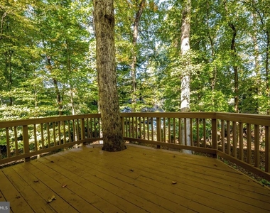 10898 Featherfield Court - Photo Thumbnail 15