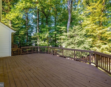 10898 Featherfield Court - Photo Thumbnail 46