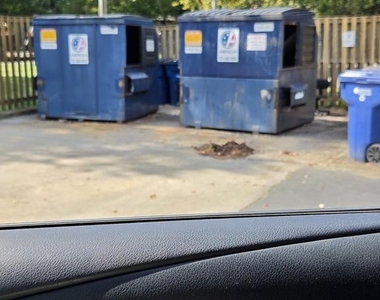 11126 Snug Haven Lane - Photo Thumbnail 17