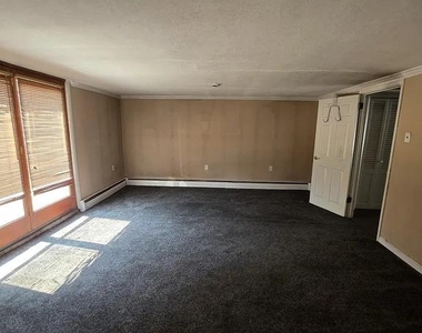 1010 Strahle Street - Photo Thumbnail 18