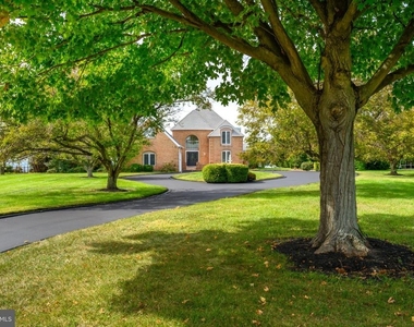 309 Blue Bay Road - Photo Thumbnail 38