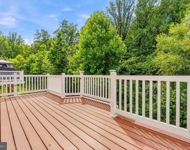 4815 Forest Pines Drive - Photo Thumbnail 16