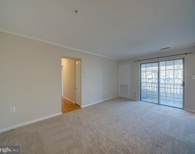 8513 Falls Run Road - Photo Thumbnail 4